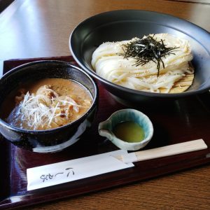 Udon noodles with meat